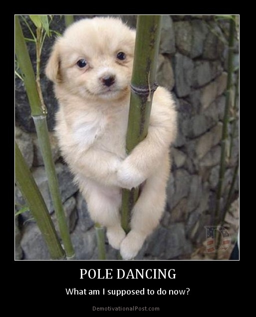 pole-dancing