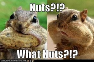 Nuts?