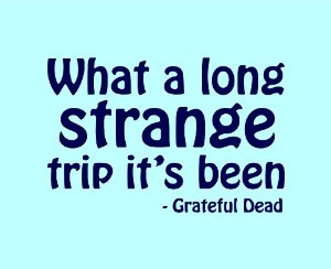 what a long strange trip it has been