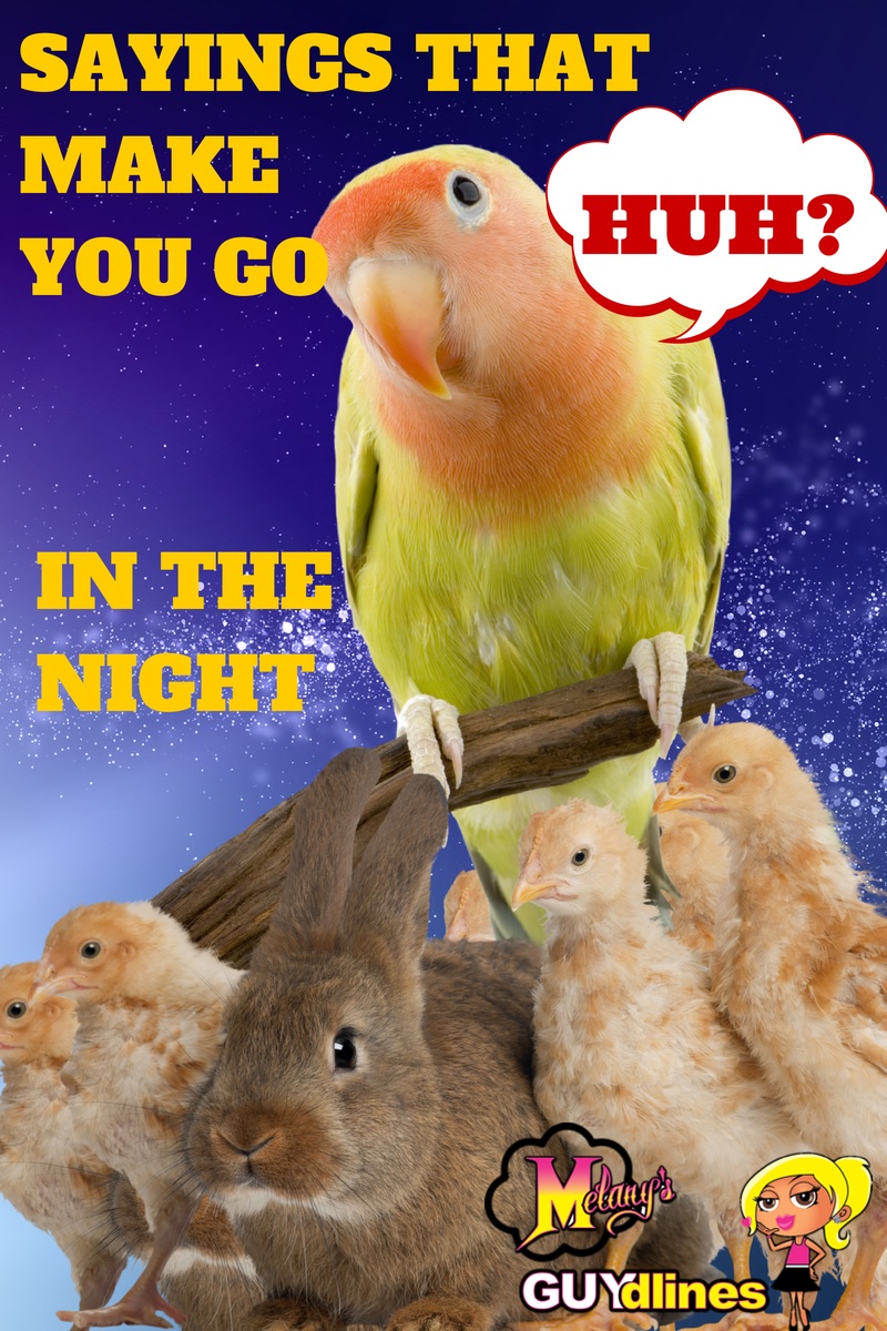 Funny Sayings That Make You Go HUH! In The Night