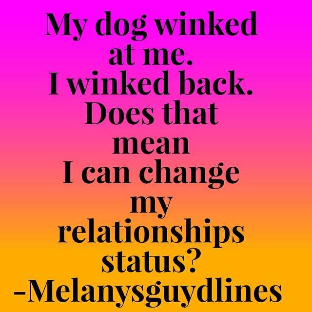 Why People Like MEMES. My dog winked at me, I winked back, can I change my relationship status now? 