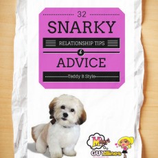 32 snarky relationship tips from my dog Teddy brewski - part 2