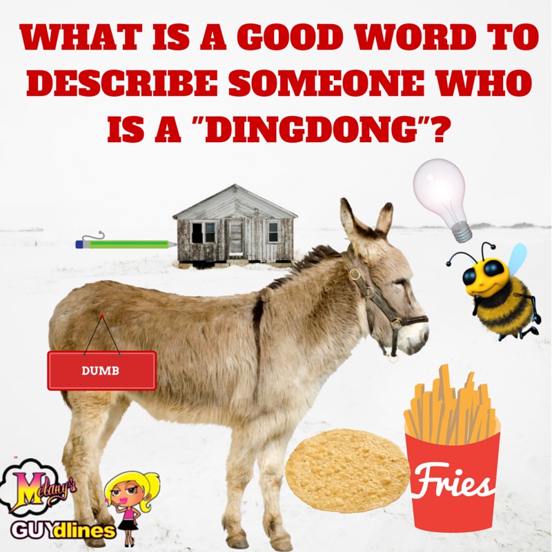 What is a good word to describe someone who is a "dingdong"?