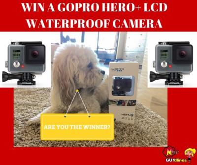 GO PRO. Win A GoPro Hero+ LCD Waterproof Camera