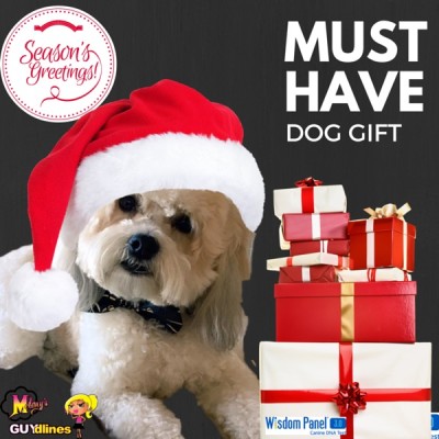 Must Have Gift For Your Dog: Wisdom Panel® 3.0 DNA Test