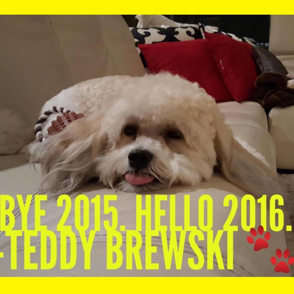 Bye 2015. Hello 2016. -Teddy Brewski