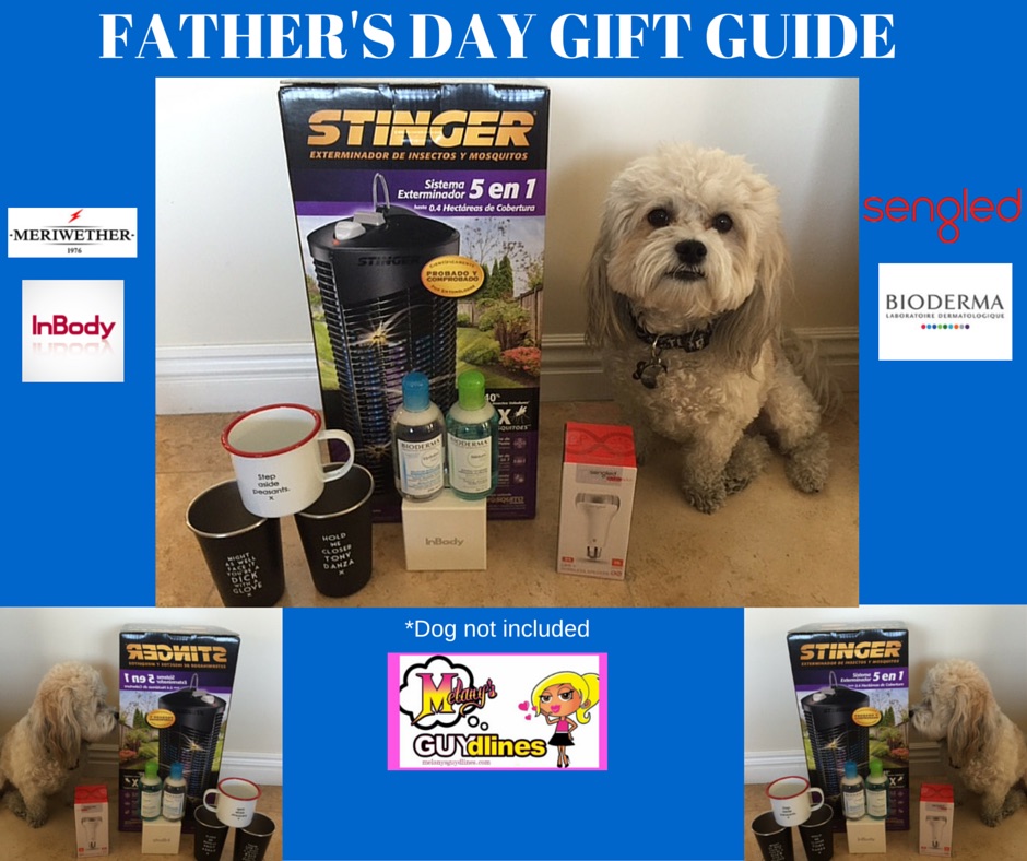 Father’s Day Gift Guide 2016: Dog Not Included