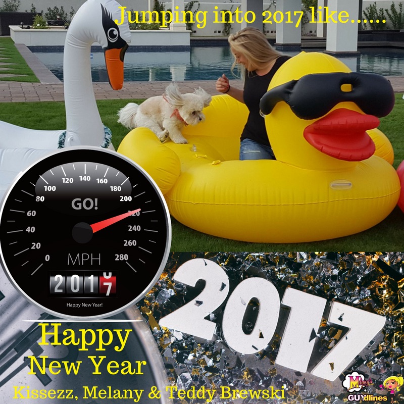 Happy New Year: Jump Into 2017