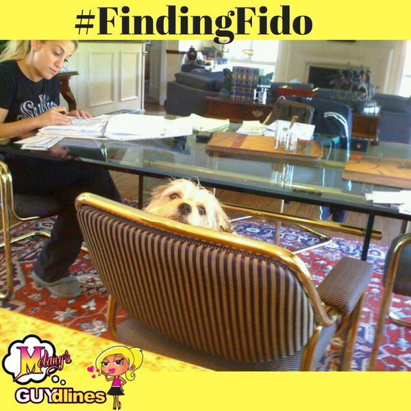 Finding Fido 