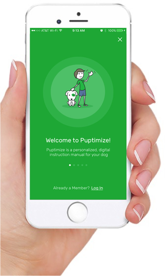 Puptimize App